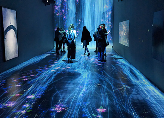 地面互动投影在数字展馆展厅的应用场景