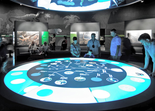物体识别技术在自然博物馆的应用场景-好奇数字科技